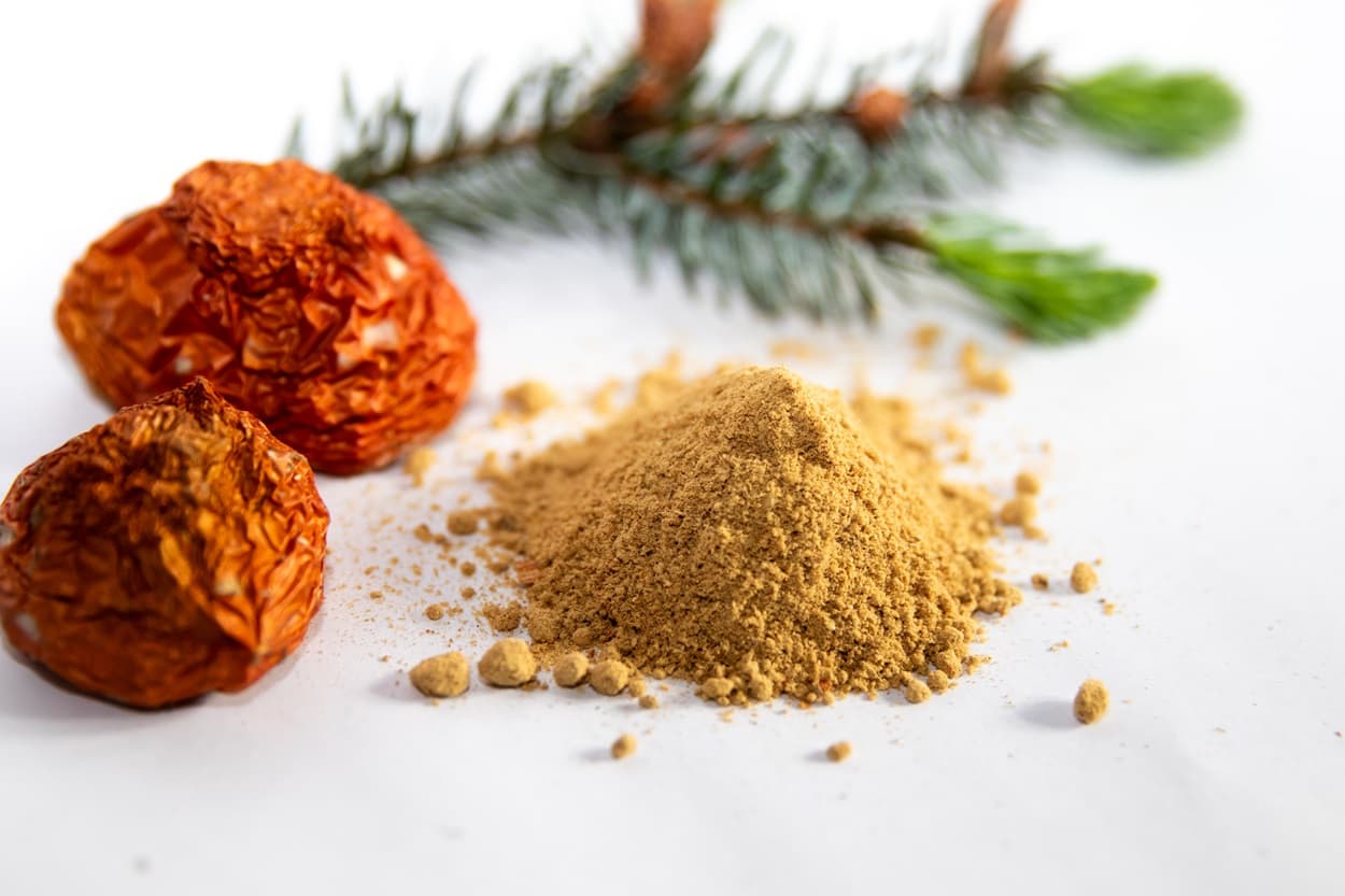 Fliegenpilz Pilver getrocknet